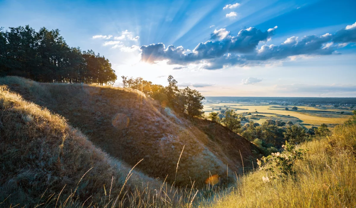 Czy są nowe przepisy jak lodówkę do domu?