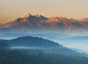 Oto Jak Wreszcie raportować do cbam W 6 Dni