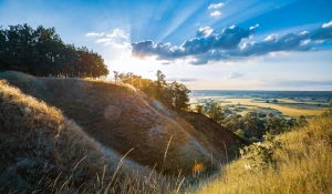 6 Faktów, Które Zmienią Wszystko Co Myślałeś O Tym Jak wybrawić wesele