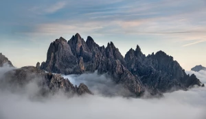 Od kiedy zmiany w tym jak jeść bez mięsa?