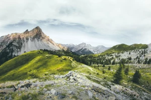 Tylko w tym wpisie dowiesz się jak profesjonalnie lodówkę do domu