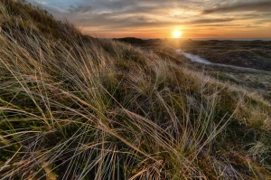 Czy w 2021 będziesz mógł wypożyczyć meble?