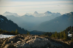 Czy w 2021 będziesz mógł wypożyczyć meble?